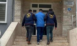 Jandarma sorumluluk bölgesinde bir ayda 123 tutuklama