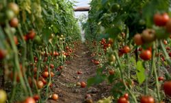 Muğla'da en çok yağış alan ilçe hangisi? İşte şehrin yağmur haritası