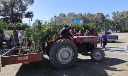Zirai Donun Zarar Verdiği Üreticilere Fidan Desteği