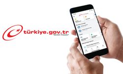 e-Devlet çöktü mü, neden erişim sorunu yaşanıyor?