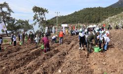 Muğla’da 28 bin fidan toprakla buluştu
