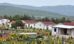 Hobi bahçeleri için yeni dönem başlıyor! Milyonları yakından ilgilendiren gelişme