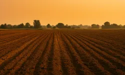Arsa alanların en çok kazandığı şehirler duyuruldu! Muğla listede mi?