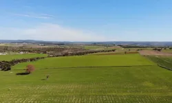 Muğla'da tarım yapmak için en zor ilçeler hangisi? İşte listesi