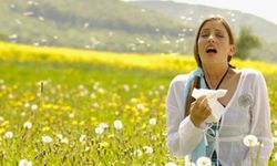 Polenler bahar aylarında alerjik şikayetleri arttırıyor