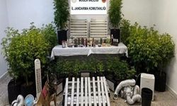 Muğla'da Tarihi Tevrat Ele Geçirildi