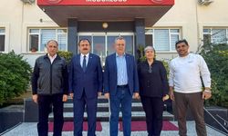 Fethiye Zeytinyağı için coğrafi işaret başvurusu yapıldı