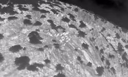 Muğla’da yaban keçileri termal kameralı drone ile görüntülendi