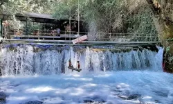 Muğla’nın Serin Kalbi: Köyceğiz Yuvarlakçay Hakkında Her Şey!