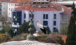 Menteşe’de Baharın Habercisi Geldi