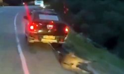 Muğla’da eşeğe vahşet: Sürükleyen 2 kişiye para cezası