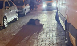 Ortaca’daki silahlı saldırıda ağır yaralanan kadın kurtarılamadı