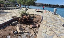 Datça’da fırtına sonrası hasar ortaya çıktı