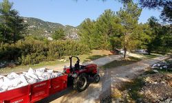 Fotokapan yakaladı: Muğla’da kaçak döküme milyonluk ceza