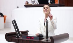 CHP’li Özcan’dan Akbelen çıkışı: “Bir şirket kazanacak diye bir halk kaybetsin istiyorsunuz”