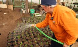 Milyonluk tasarrufun adresi: Marmaris Belediyesi seraları