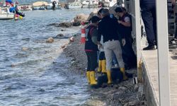 Fethiye Sahilinde Erkek Cesedi Bulundu
