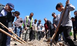 Milas’ta eski maden sahasına 4 bin zeytin fidanı dikildi