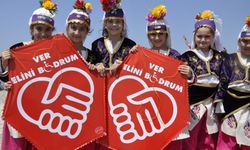 Bodrum Uçurtma Festivali Binleri Gökyüzünde Buluşturacak