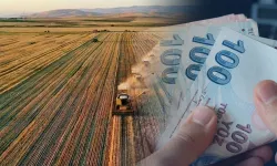 Çiftçilerin beklediği milyarlık destek ödemelerinde takvim netleşti