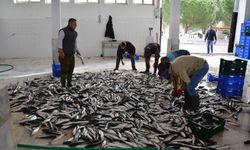 Muğla’nın ihracatı Nisan ayında artış gösterdi