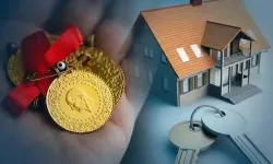 Vatandaşın yeni yatırım rotası belli oldu: Merkez Bankası anketinde dikkat çeken harita