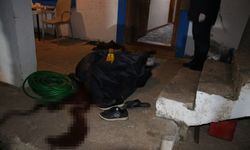 Marmaris’te kaza diye kapatılan dosya yeniden açılınca cinayet çözüldü