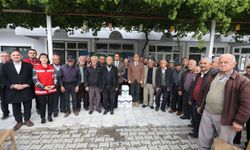 Muğla’da Çam Fıstığı İçin Kritik Hamle