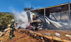 Bodrum’da Zeytinlik Alandaki Konteyner Yangında Kullanılamaz Hale Geldi