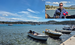 Bodrum'da deniz çayırlarını korumak için proje başlatıldı