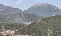 Fethiye’de ormanlık alanda yangın çıktı