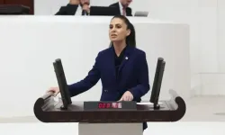 Gizem Özcan Akçay Deresi Çalışmasını TBMM Gündemine Taşıdı