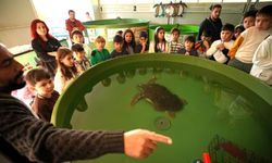 Avrupa’dan MTK Koleji’ne Çevre Eğitimi Ödülü