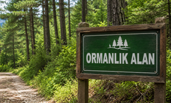 Muğla’da 45 Bin Metrekarelik Alan Orman Sınırı Dışına Çıkarıldı
