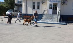 Muğla’da Kurban Bayramı hazırlıkları tamamlandı