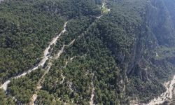 Fethiye’de Yaz Öncesi Su Hamlesi: Kirme ve Kozağaç’ta Hatlar Yenileniyor