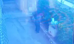 Menteşe’de Köpeğe Şiddet Davasında İlk Duruşma Yapıldı