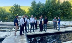 Seydikemer’de alabalık üretimi için saha incelemesi
