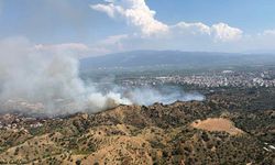 Nazilli’de Zeytinlik Alanda Yangın