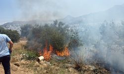Bodrum’da çıkan yangın büyümeden söndürüldü