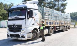 Muğla’da Orman Emvali Taşıyan Araçlara Denetim