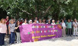 Menteşe Kadın Platformu’ndan nafaka kararına tepki
