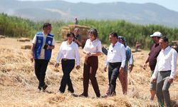 Muğla Büyükşehir’den Milaslı Üreticilere Kaba Yem ve Balık Yemi Desteği