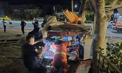 Bodrum’da otomobil tabela ve ağaca çarptı: 2 yaralı