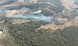 Milas’ta Yangın Ormana Sıçramadan Söndürüldü