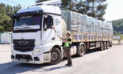 Muğla’da Orman Emvali Taşıyan Araçlara Denetim