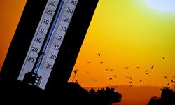 Uzman isimden El Nino uyarısı! Yangın tehlikesi kapıda
