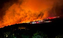 Milas’taki Orman Yangınında Mücadele Sürüyor: 1120 Kişi Tahliye Edildi