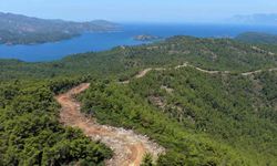Muğla’da Yangın Emniyet Yolları Genişliyor