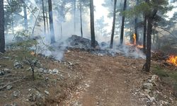 Dalaman’da orman yangını